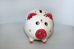 piggy-bank-967180_960_720.jpg